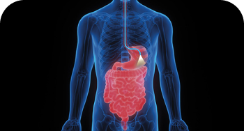 endoscopia